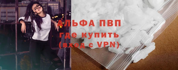 дмт Вяземский