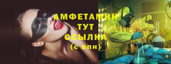 дмт Вяземский