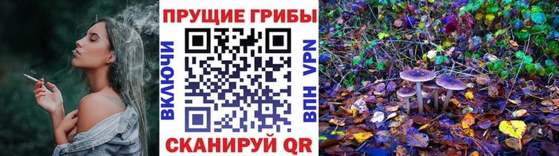 даркнет наркотические препараты  Дальнереченск  Галлюциногенные грибы прущие грибы  дарнет шоп 
